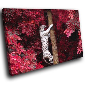 white tiger xxl cat tree