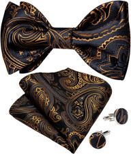 Men Bow Tie Paisley Striped Self-Bow Tie for Men and Silk Woven Bowtie Pocket Sq
