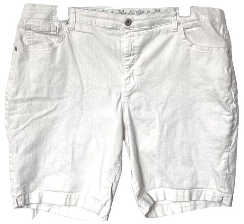 Stussy Spray Dye Denim Big Ol' Shorts Jorts Faded Pink | Size 28