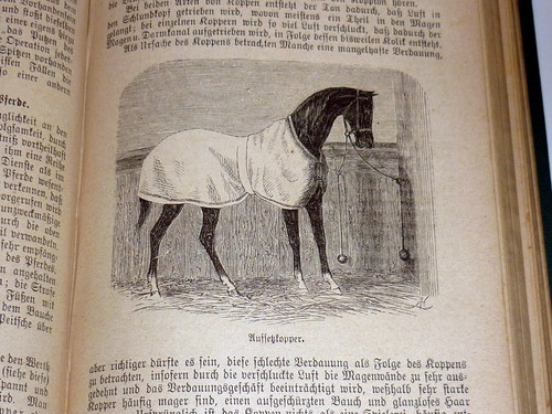 Wilhelm Zipperlen: The Illustrated Pet Veterinarian. Old 1885 Edition - Picture 4 of 6