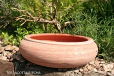 terracotta Bonsai Schale Terrakotta pflanzschale 20 cm x 6  cm h.