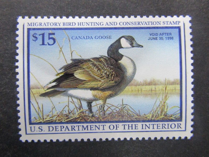 nystamps US Duck Stamp # RW64 Mint OG NH             L10x1854