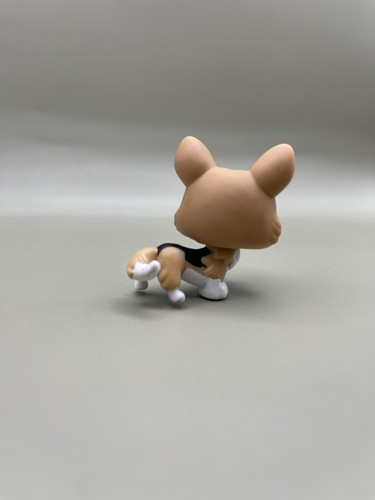 AUTHENTIC LPS #639 Littlest Pet Shop Corgi White Black And Tan With Blue Eyes - Picture 3 of 3