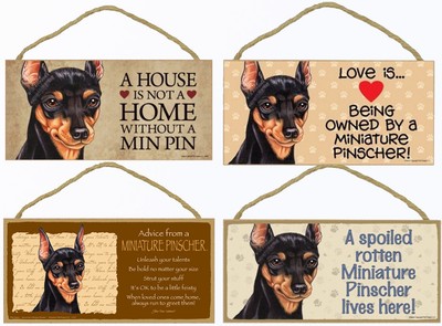 miniature pinscher guard dogs