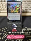 Foto 5 di 8