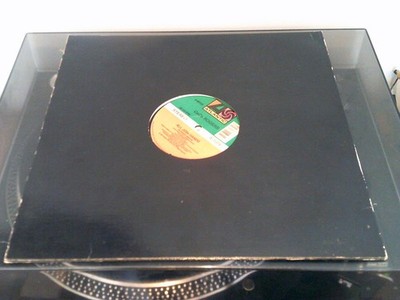 CeCe Rogers - All Join Hands - 12'' Vinyl (1990) *HEAR it HERE*