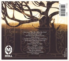 MICHAEL HOLLAND SIMPLE TRUTHS AND PLEASURES NEW CD