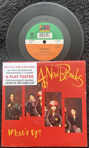 4 Non Blondes Vinyl | eBay