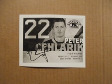 AHL Providence Bruins Vintage #22 Peter Cehlarik Team Logo Autographed Postcard
