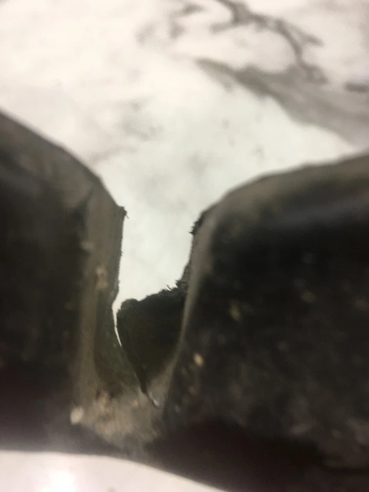 Honda S65 S 65 Sport Faro Delantero Faro Cubierta Carcasa Capucha Carenado  Foto 3 de 4