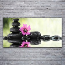 Acrylglasbilder Wandbilder Druck 120x60 Blume Steine Kunst