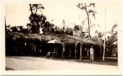 Thatched Roof Huts, Possibly a Seminole Indian Camp in Florida? 1940s Photo