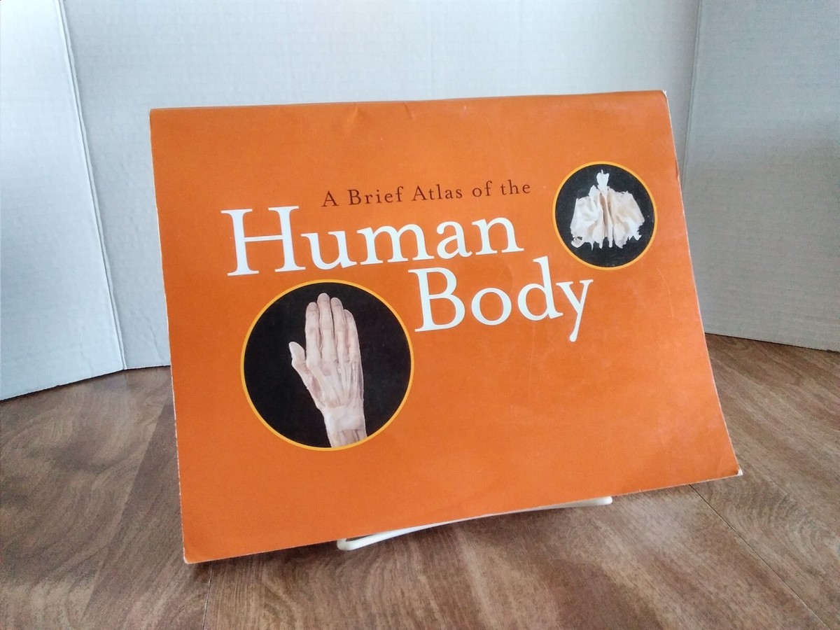 Anatomía Humana Elaine Marieb Replying To @𝓙 𝓜 I Got This Book