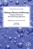 Bruno G. Pollet (U. A.) | Hydrogen, Biomass And Bioenergy | Taschenbuch (2020)