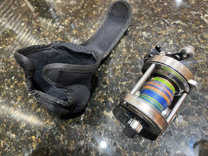 Daiwa Millionaire 6hm | eBay UK