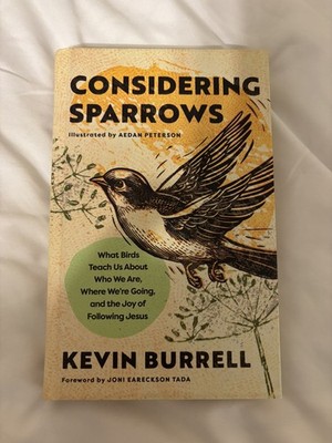 Kevin Burrell Considering Sparrows (Hardback)