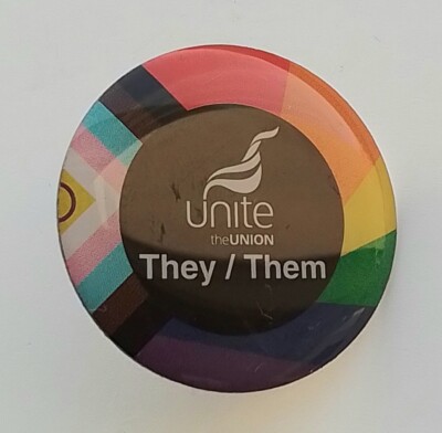 UNITE THE UNION PROGRESS FLAGGE PRONOMEN ABZEICHEN THEY/THEM LGBTQ + Gewerkschaftsnadel