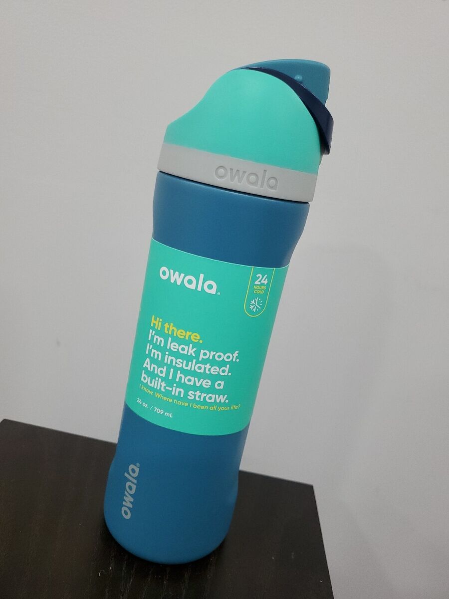 Owala Freesip Water Bottle Stainless Steel, 19oz Blue 