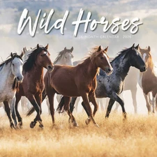 Carousel Calendars,  Wild Horses 2026 Wall Calendar, 12'' X 12'', 16-Month Calen