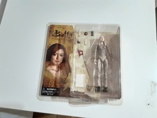 Buffy the Vampire Slayer