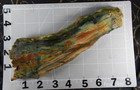 Gary Green Jasper (Caldera, OR/NV)  Slab - 15 Ozs - Cabs - Crafts - Display — photo 3