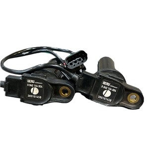 2013-15 Ducati Hypermotard/Hyperstrada 821 Beru Ignition Coil Set #38010145B