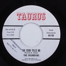 Doo Wop 45 SPLENDORS The Echo Tells Me TAURUS VG+ HEAR k