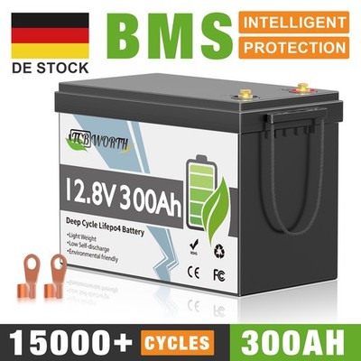 12V 300Ah LiFePO4 Lithium Batterie Solar Wohnmobil Boot Akku BMS 20000+ Zyklen