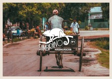 Madagascar Sambirano No 1 Cacao Beans Wholesale Raw Whole Cocoa Beans