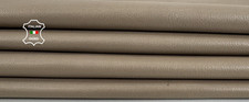 BEIGE VEGETABLE TAN ROUGH Goatskin Leather hides 2 skins 8 sqf 1.0mm C7518