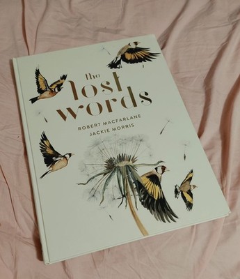 Lost Words by Robert Macfarlane (2018, Hardcover) A Spell Book