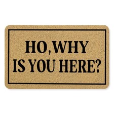 Funny Door Mat, Funny Welcome Mats for Front Door, Ho Why is You Here Doormat...