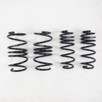 RS-R Fits 2017-2022 Honda Civic Type R (FK8) Super Down Sus Springs