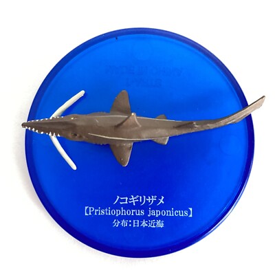 Sharks Mini Figure Sawshark Saw Shark Takara Tomy Japan | eBay