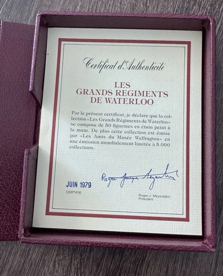 Juego de 35 soldados de peltre Franklin Mint Waterloo Regiments 1979 + libro en su mayoría en caja Foto 3 de 4