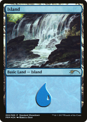 Island (Rebecca Guay) #2 (Foil) (MP) Standard Showdown SSP Magic MTG