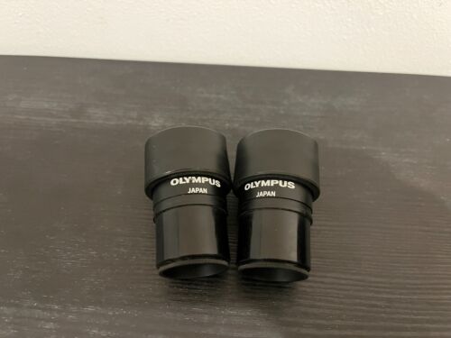 Olympus GSWH 10X Stereo Microscope Eyepiece - Foto 5 di 5