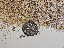 Corn Cob Media 20 - 5 Lbs. for Case Tumbling, Ammo Reloading and Shooting