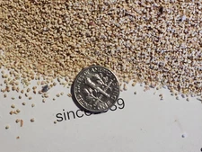 Corn Cob Media 20 - 5 Lbs. for Case Tumbling, Ammo Reloading and Shooting