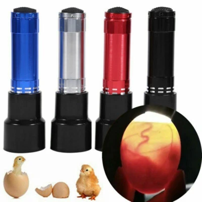 LED Prüflampe Brutmaschine Schierlampe Bruteier Eierdurchleuchter Eier Inkubator - Bild 1 von 4