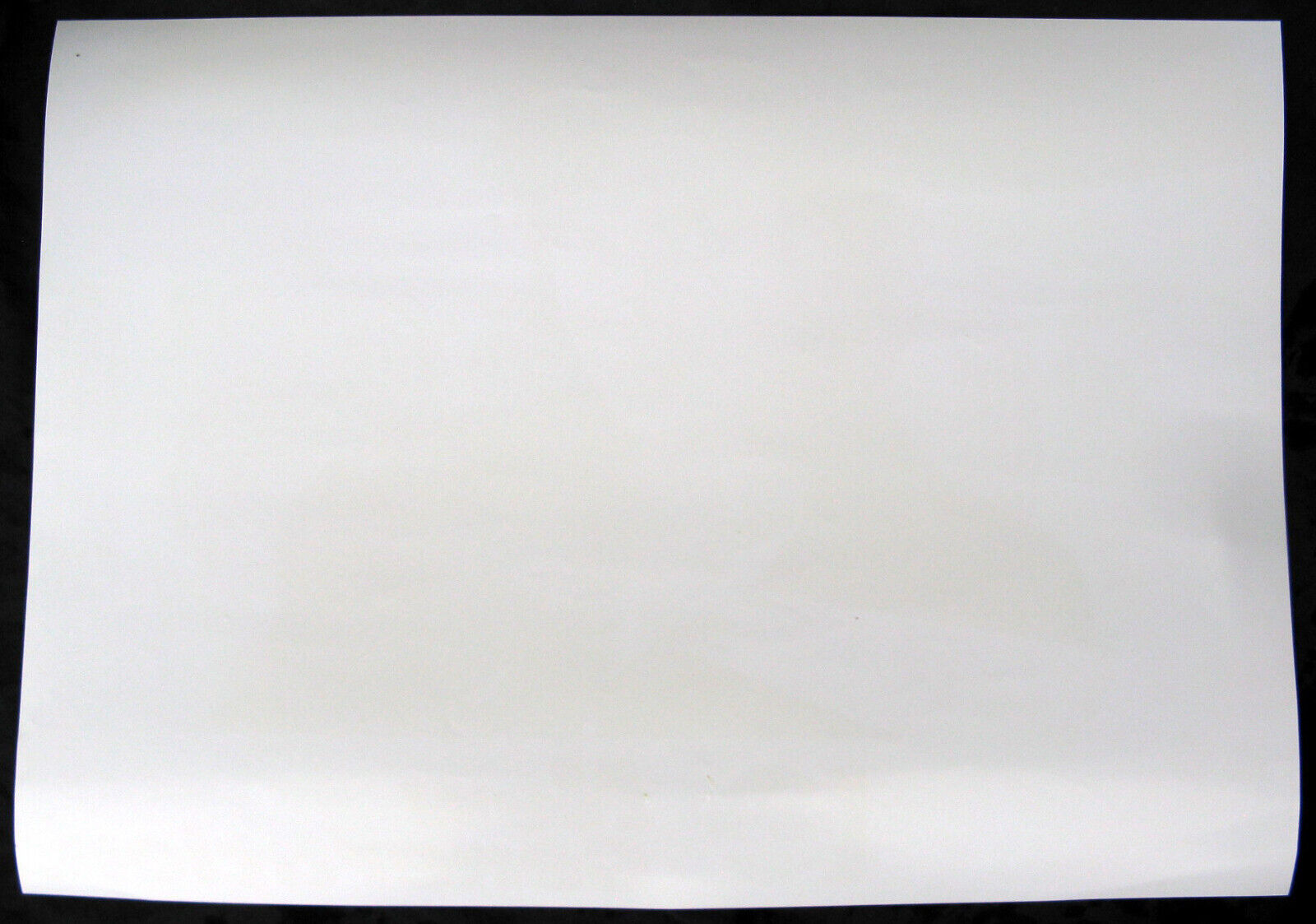 Foto 2 di 2