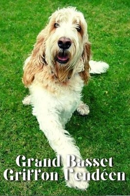 Grand Basset Griffon Vendeen: Dog breed overview and guide by Nina Pustova Paper