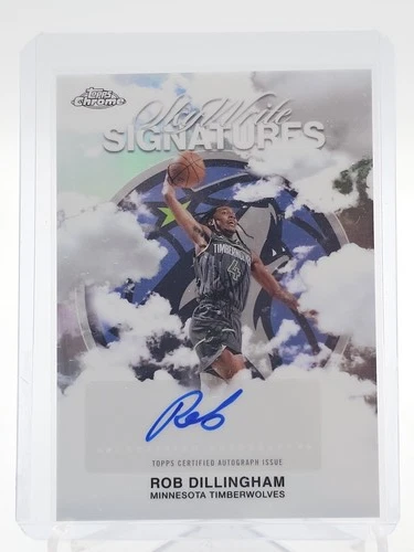 2025 Topps Chrome Rob Dillingham Sky Write Signatures (RAW)