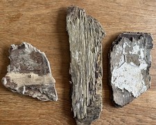 3 FLAT DRIFTWOOD PLYWOOD PIECES Wood Art Craft Base Collage Sign Board beach sea