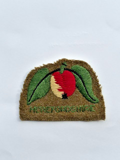 Scarce Boy Scouts Felt Herefordshire County Badge second named issue.