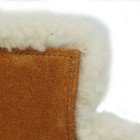Bild 8 von 11