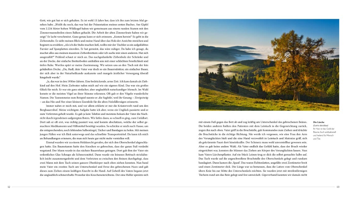 Thumbnail - Die Sanfte Medizin Der Bäume Erwin Thoma