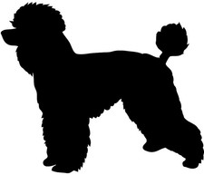 Custom Toy Poodle Silhouette Vinyl Decal - Personalized Pet Sticker - 9065