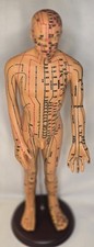 Acupuncture Male Model 19" Human Acupoint Doll Chinese Medicine Learning Dummy