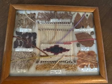 NAVAJO PLANT YARN DYE CHART 8 PLANTS LOOM RUG WEAVING NATIVE AMERICAN ART VTG